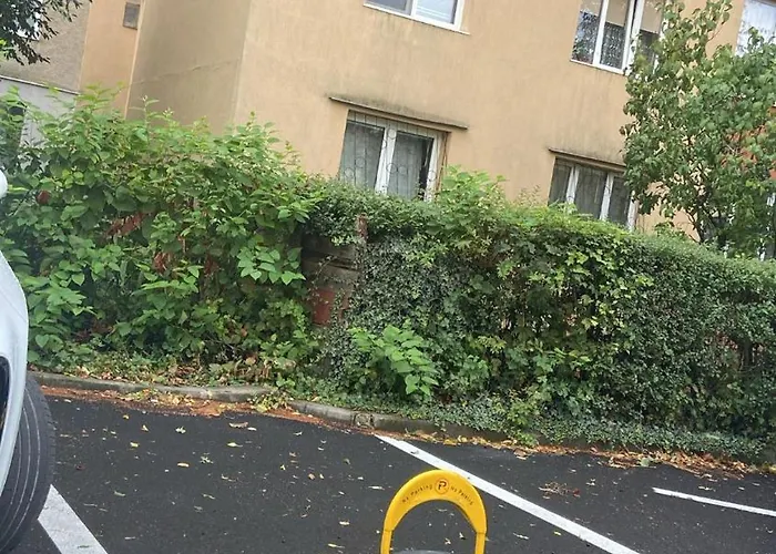 Home Apartament