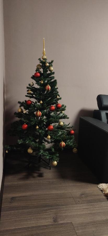 Home Apartament Apartment *